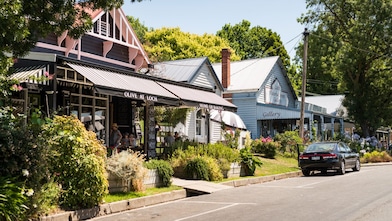 Tree-framed streetscape of Olive at Loch café in Victoria
