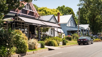 Tree-framed streetscape of Olive at Loch café in Victoria