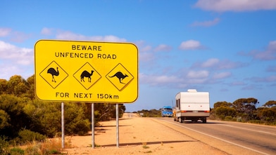 Wildlife signs