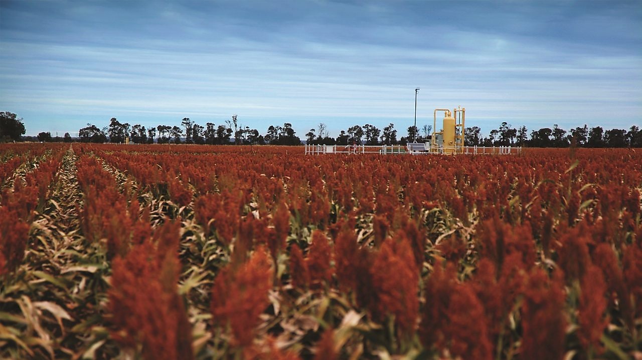 QGC's Tharlane property in the Fairymeadow district near Miles